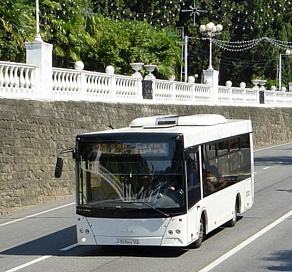 В Сочи запустят новые автобусные маршруты