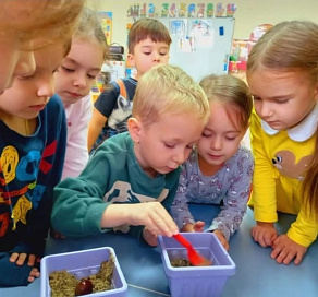 Проект сочинского детского сада получил миллион рублей в грантовом конкурсе «Движения Первых»