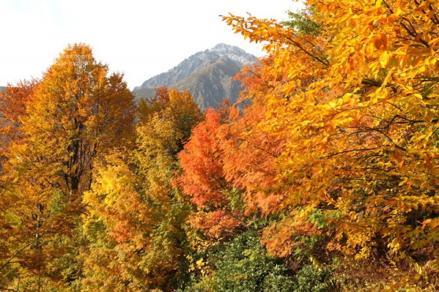 Осенний лес на фоне г.Чугуш