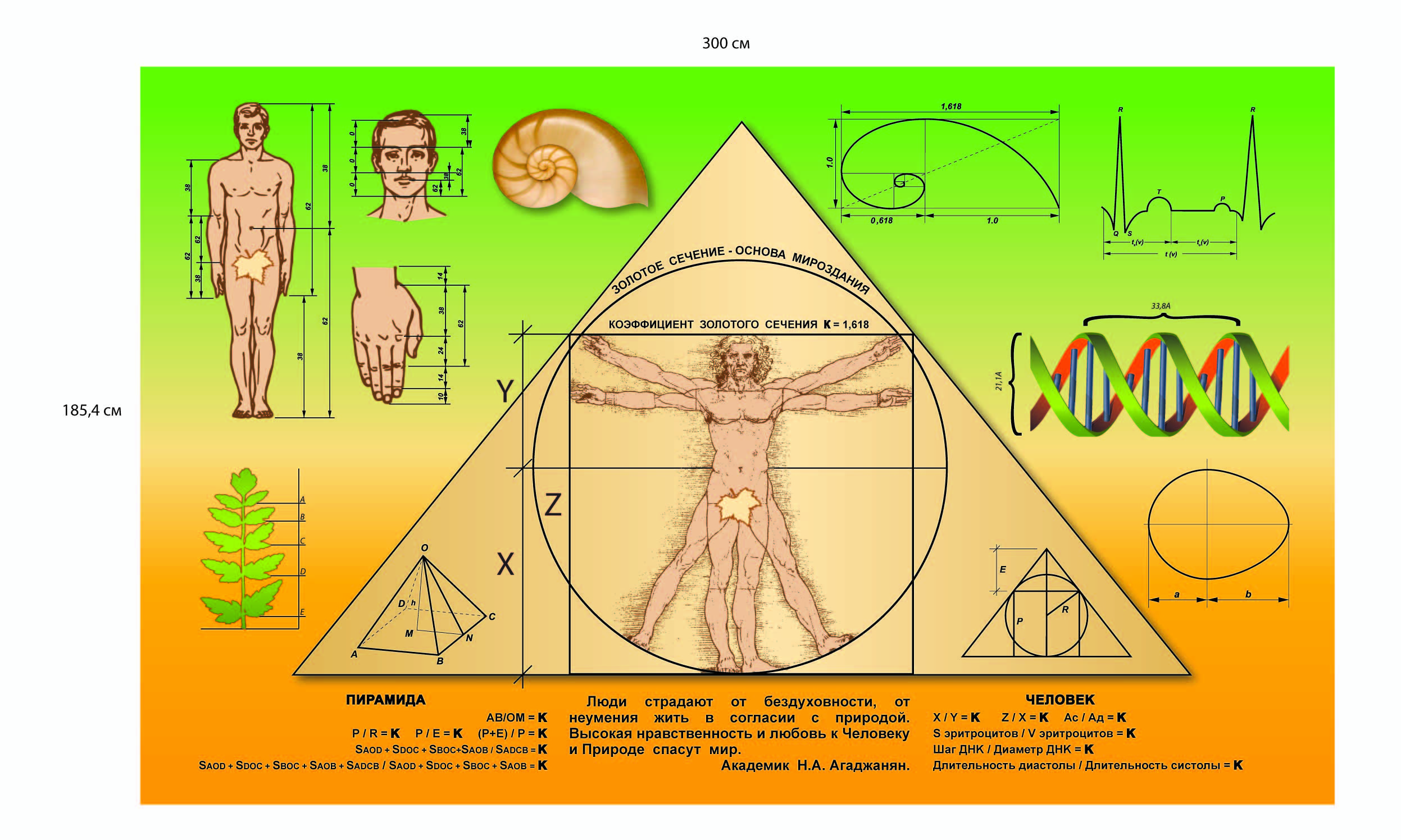 Пирамида хеопса золотое сечение. Пропорции пирамиды хеопса золотое сечение. Размер египетской пирамиды хеопса. Пирамида хеопса золотое сечение. Пирамиды гизы золотое сечение.