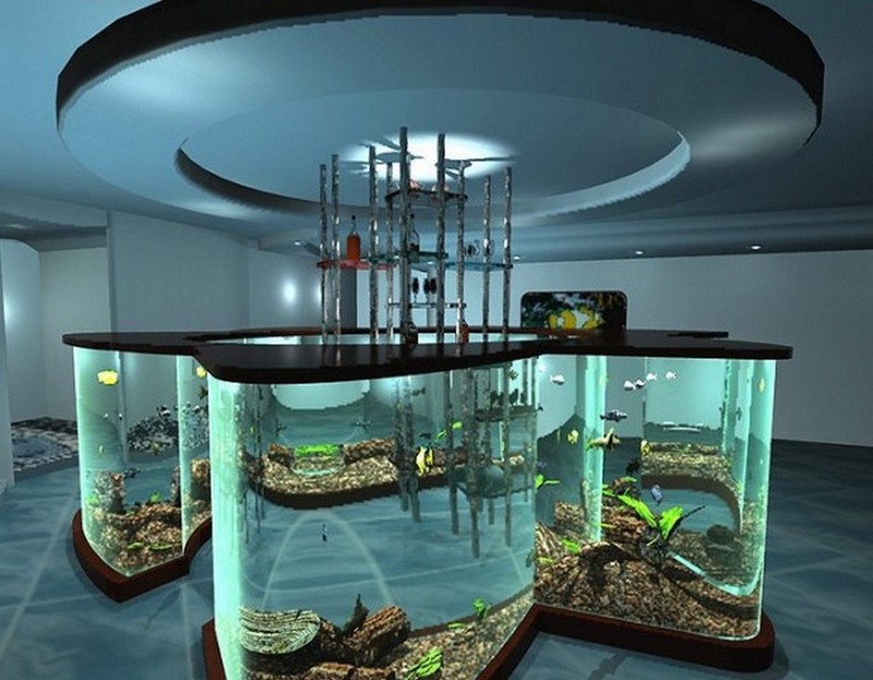 Как выбрать аквариум в Сочи и где его купить ? Домашний аквариум