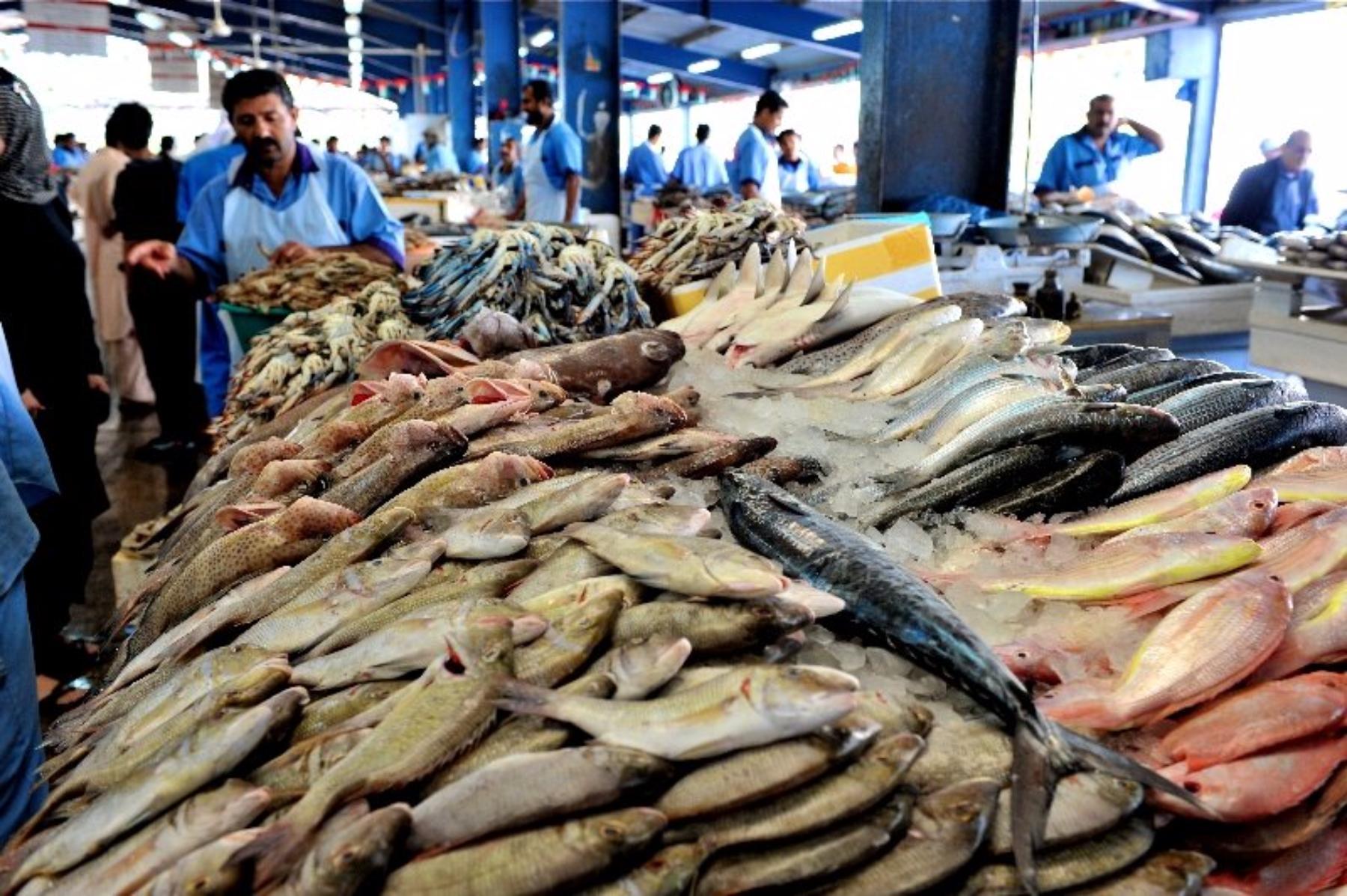 Можно купить свежую рыбу. Рыбный рынок в Сочи. Рыба на рынке. Рынок морепродуктов. Рыба на базаре.