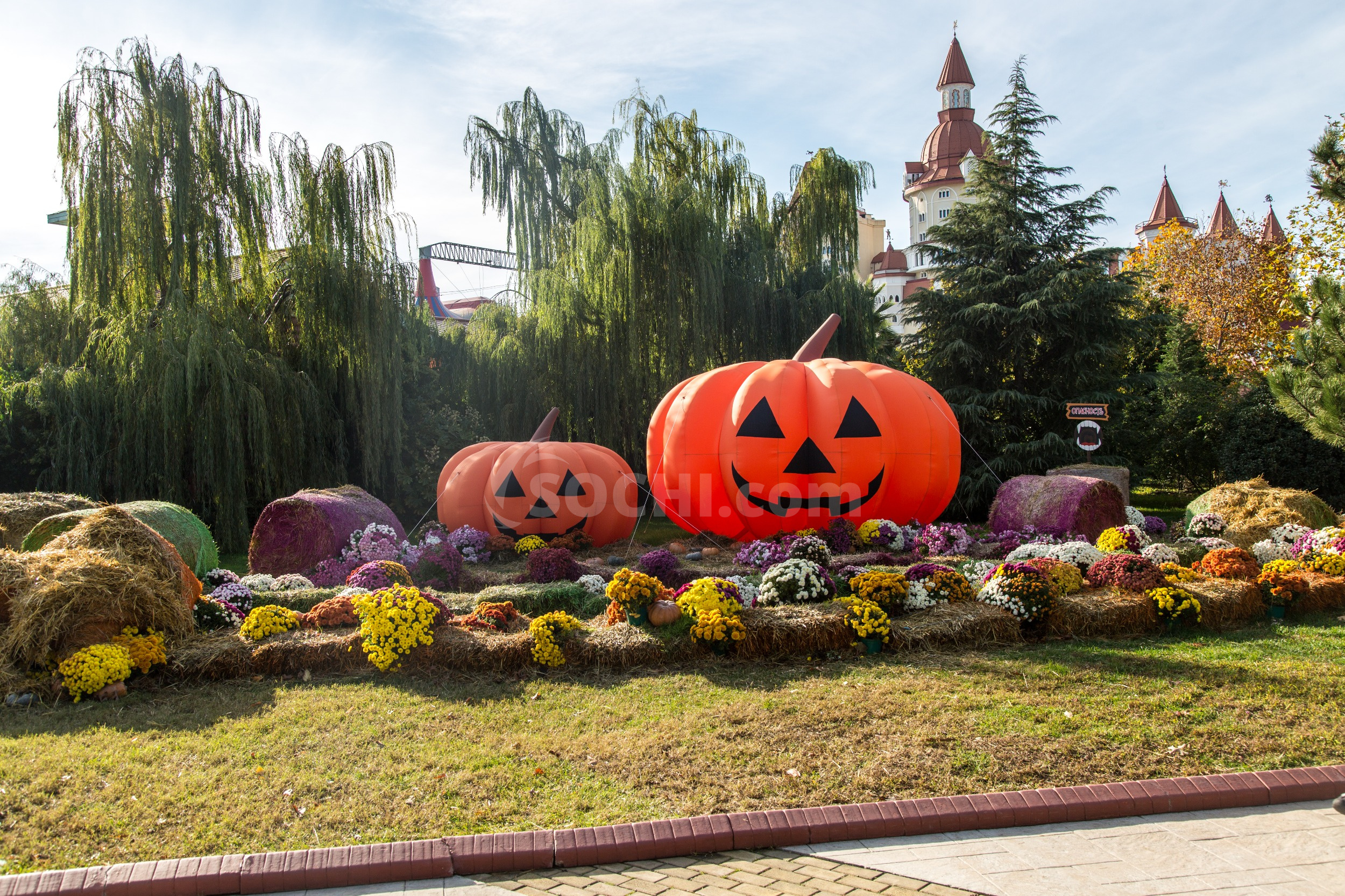 День рождения Бабы Яги в Сочи Парке