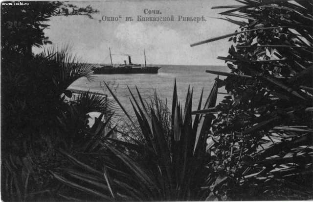 Сочи 30-х XX в. Вид на море через пальмы