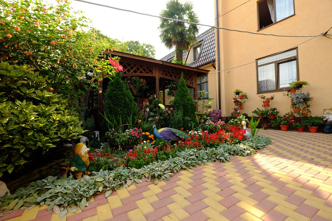 Адлер гоголя 14. Улица гоголя адлер. Гоголя 11 адлер. Гоголя 11 адлер. Гоголя 11 адлер.