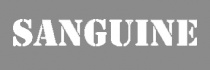Веб-студия Sanguine  - Веб студии города Сочи Сочи SOCHI.com
