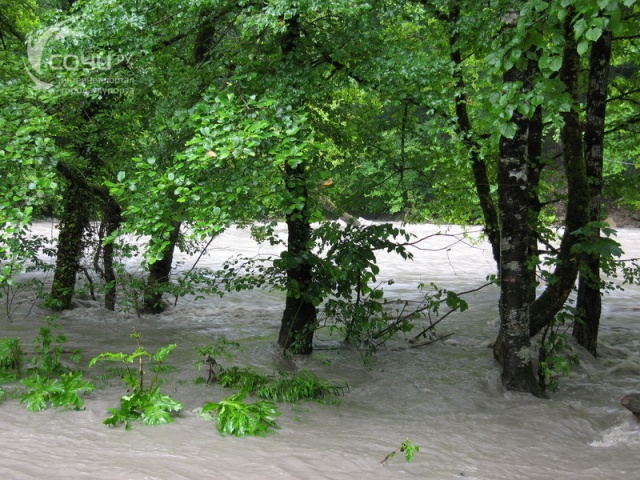 Наводнение на реке Мзымта (Красная Поляна)