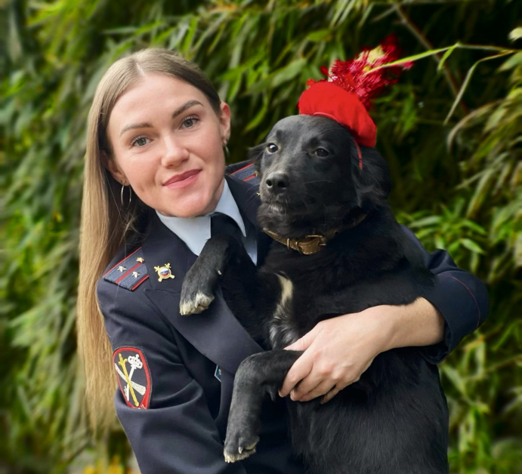 Новость: В Сочи полицейские ищут дом для щенка