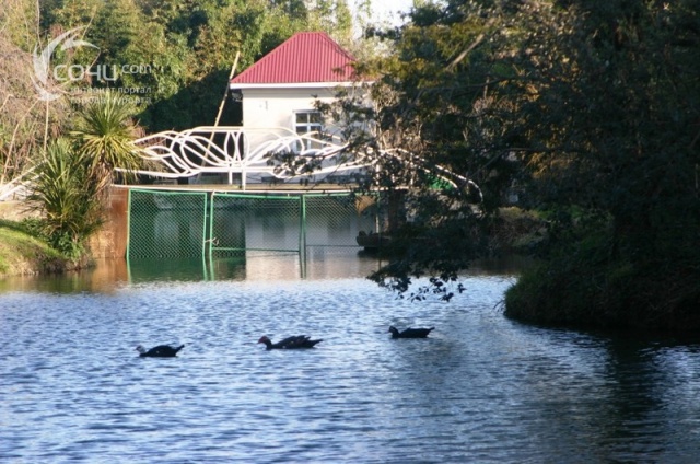 Озеро в парке "Южные культуры"