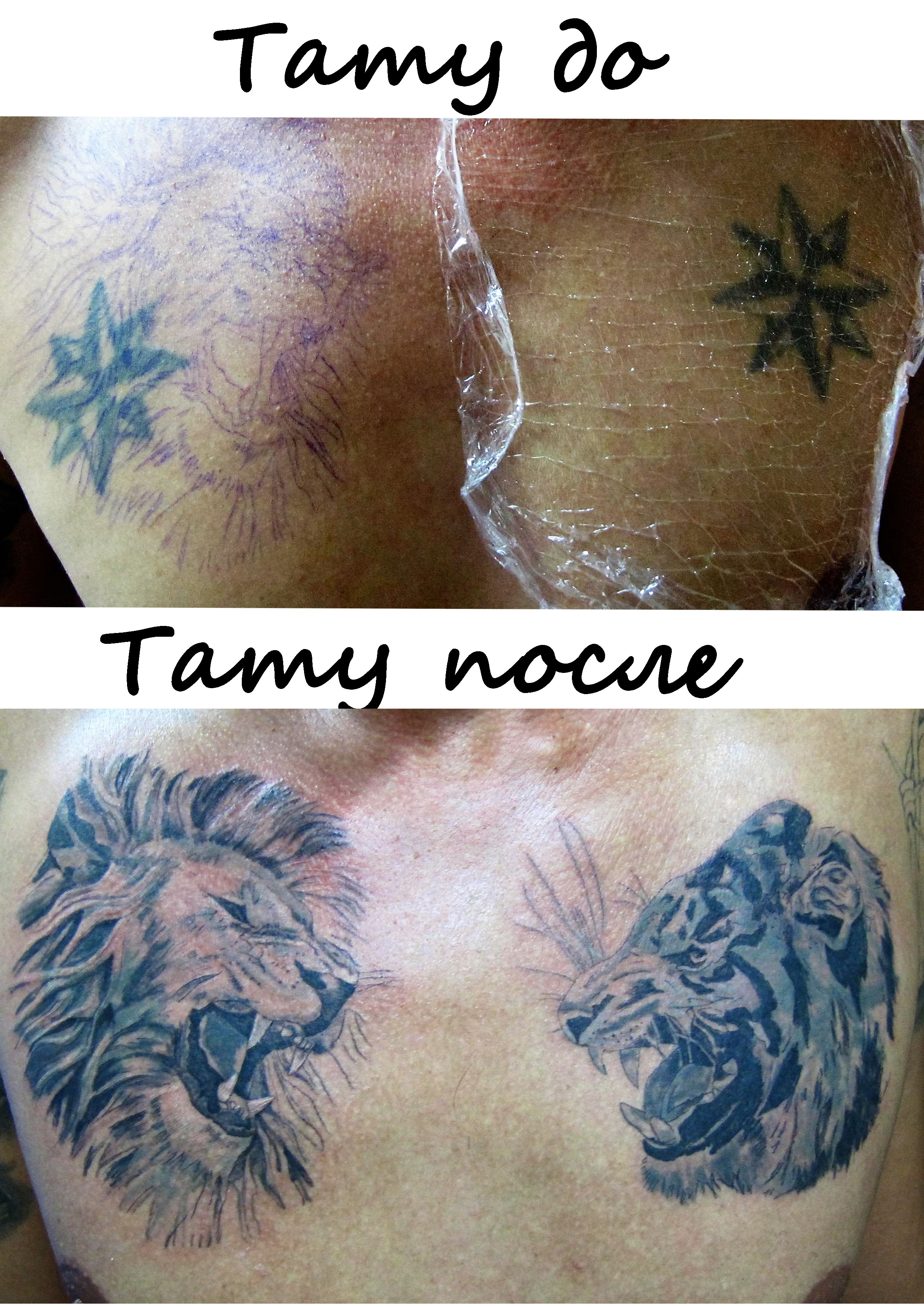 Расценки татуировок