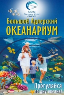 Афиша Сочи: Sochi Discovery World Aquarium (Океанариум)