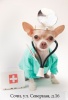 Ветеринарный кабинет ВИТ-С - Ветеринарные клиники Сочи SOCHI.com