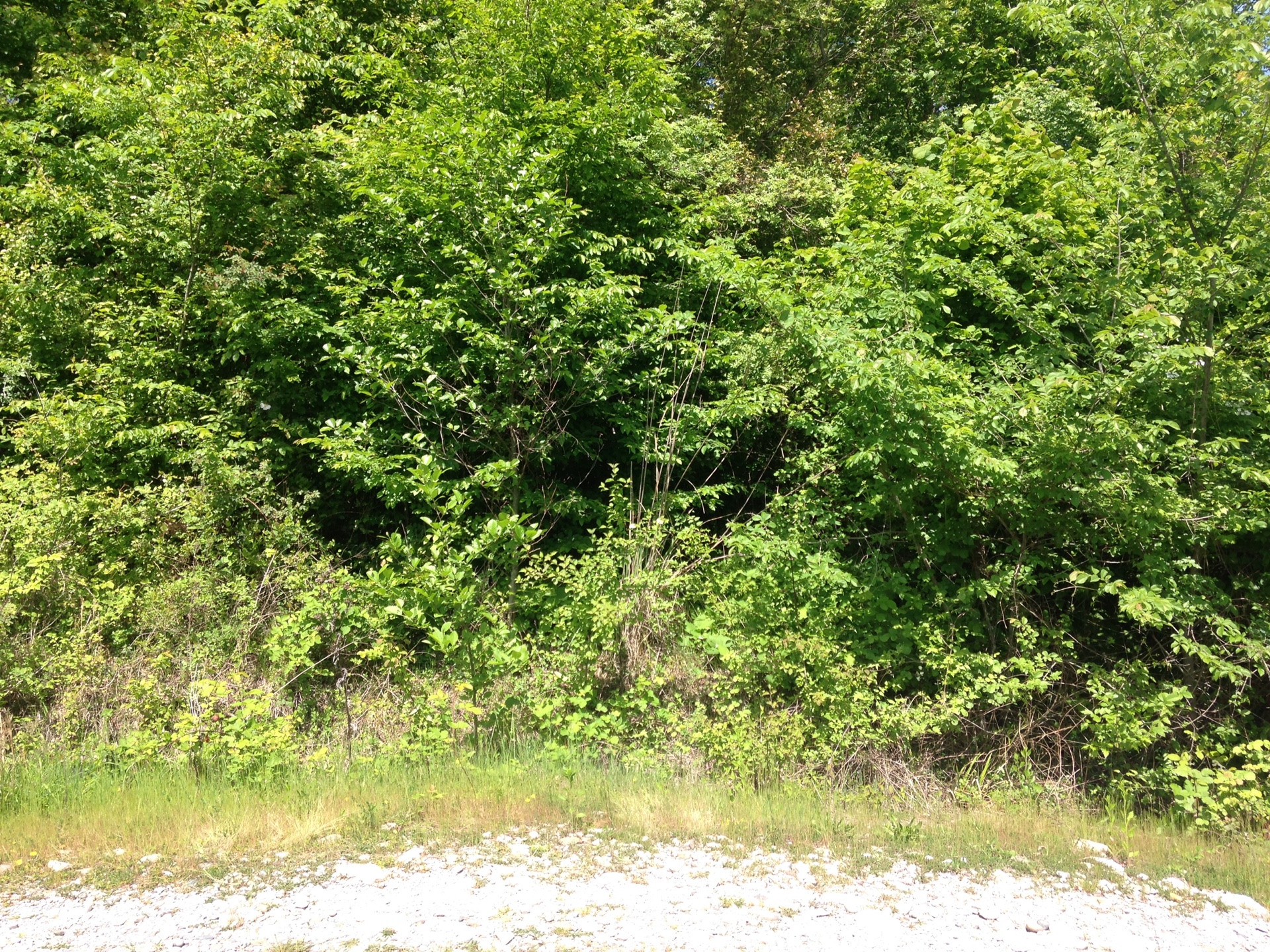 ижс с видом на гору. участки ижс сочи. село вардане-верино адлерский район. земельный участок сочи. земельный участок сочи.