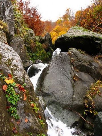 Водопад (Красная Поляна)