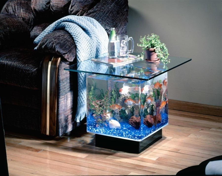 Как выбрать аквариум в Сочи и где его купить ? Домашний аквариум