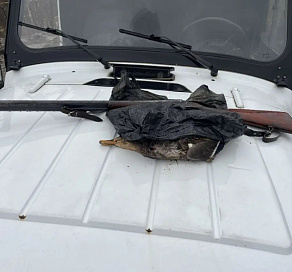 В Сочи поймали браконьеров