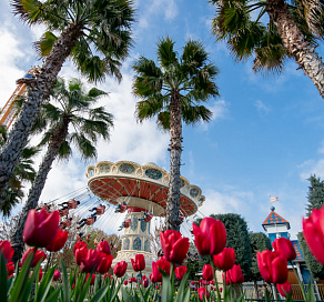 Сочи Парк дарит праздничную скидку на билеты для девушек