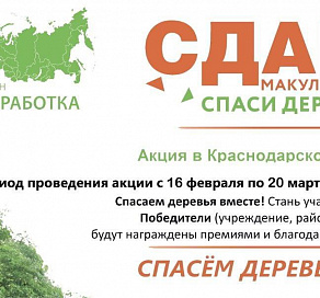 Сочинцы могут принять участие во всероссийском экологическом марафоне «Сдай макулатуру — спаси дерево»