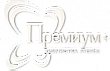 Химчистка Премиум Плюс