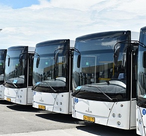 250 автобусов будут перевозить зрителей матча Россия-Хорватия в Сочи