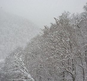 В Сочи прогнозируется понижение температуры и мокрый снег