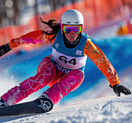 Экс-вице-главу ОКР обвиняют в хищении средств, выделенных на Олимпиаду в Сочи