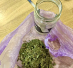 Поездка с «закаткой» обернулась уголовным делом в Сочи