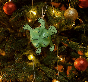 Сочинцы могут принять участие во всероссийской акции Росприроднадзора «Экоёлка»