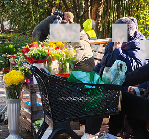 В Сочи начались «цветочные» патрули