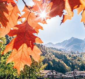 Сочинские отельеры продлили программу преференций на осень 