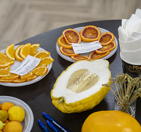 В Сочи состоялась презентация уникальной коллекции цитрусовых культур  