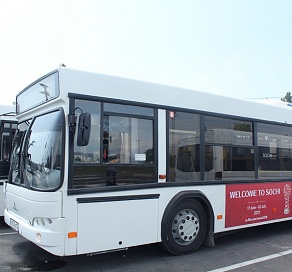 Этим летом в Сочи сократят 30 автобусных маршрутов