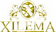 Xilema, мебельный салон