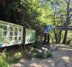 Мужчина сорвался со скалы в горном Сочи