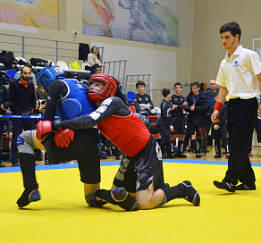 В Сочи более 550 спортсменов приняли участие во Всероссийском фестивале единоборств