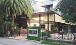 Fresco Cafe, кафе - Кафе. Бары. Рестораны Сочи SOCHI.com