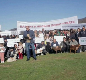 Сочинские фермеры просят защиты у Путина
