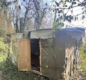 Дом браконьеров обнаружили в сочинском лесу