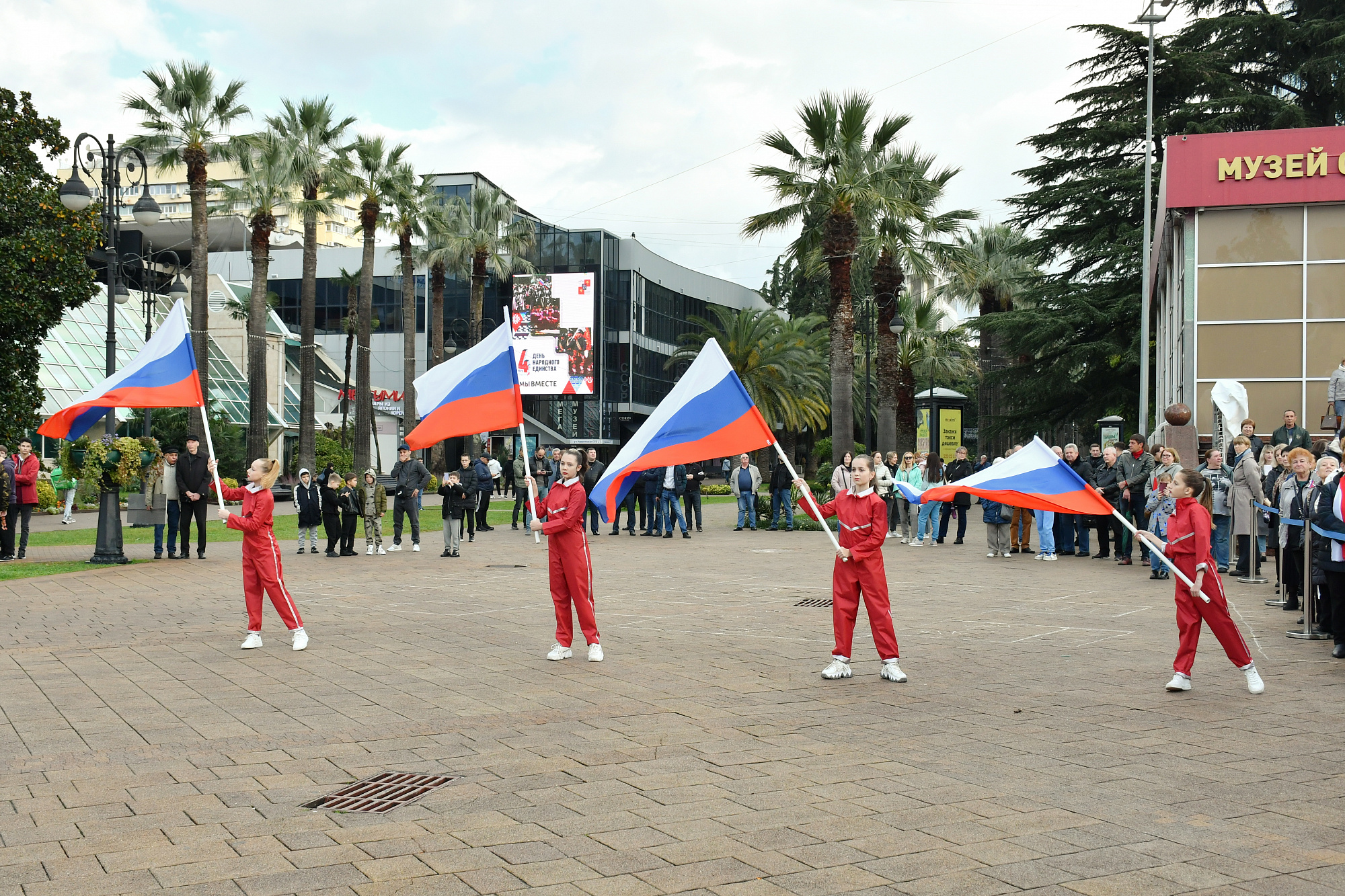 Когда начинается сочи. Когда начинается сочи. Когда начинается сочи. Юкка цветет в сочи. Сочи в октябре.