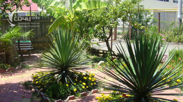 Гостевой дом - Гостевой дом "Есения" - 