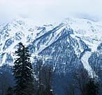 В Сочи ожидается мокрый снег