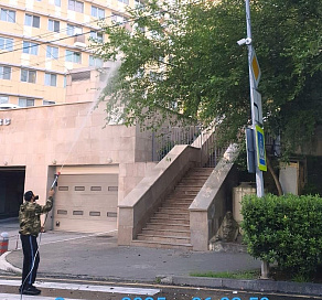 В Сочи начата обработка зеленых насаждений от американской белой бабочки