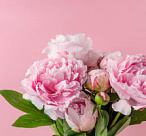 Как не испортить 8 Марта: инструкция для мужчин