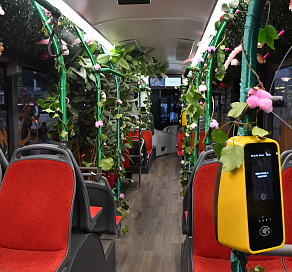 В Международный женский день в Сочи на линию вышел цветочный автобус