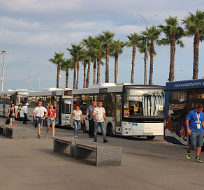 В Сочи вводятся новые сезонные маршруты автобусов