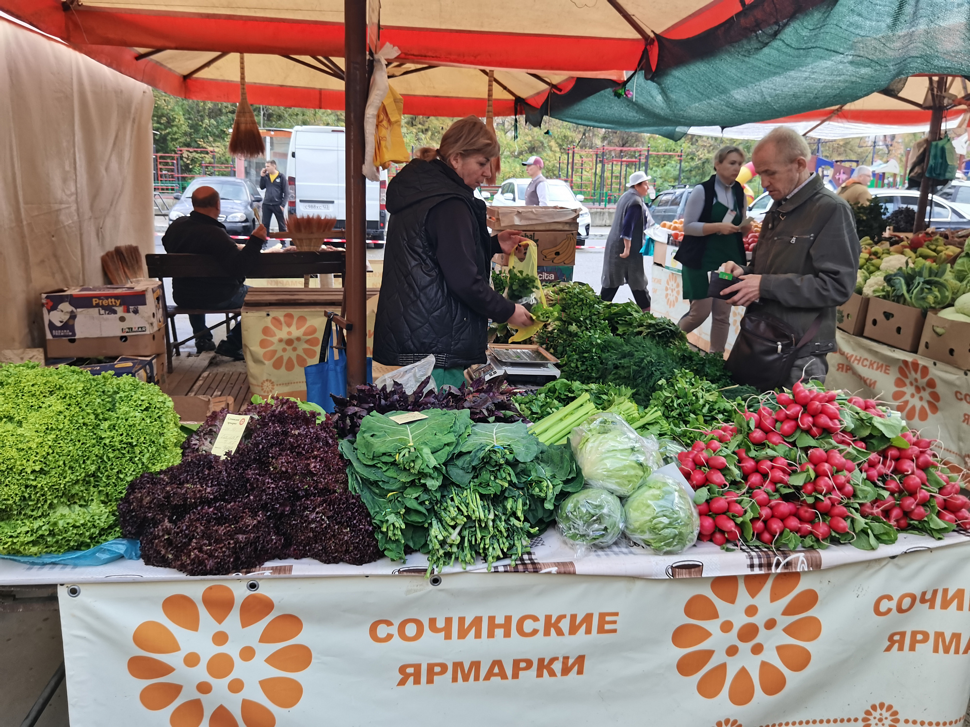 В Сочи в результате реконструкции увеличится площадь ярмарки на Мацесте |  07.11.2023 | Сочи - БезФормата