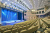 Киноконцертный зал «Балканы»  - Кинотеатры. Выставки. Театры. Музеи. Цирк. ДК. Сочи SOCHI.com