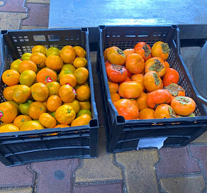 В Сочи зафиксирован мандариновый бум 