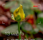 Фотографов приглашают на весенний фототур в Сочинский нацпарк