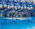 Большой Сочинский Дельфинарий (парк "Ривьера") - Аквариумы. Океанариумы. Дельфинарии. Зоопарки. Сочи SOCHI.com